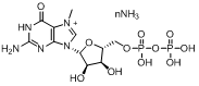 7-Methyl-guanosine-5’-diphosphate ammonium salt CAS: 117723-13-4